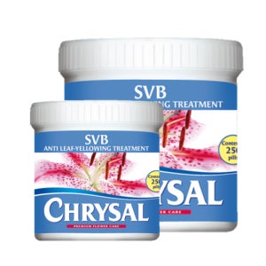 [크리잘] SVB (1통 250정) 백합 절화 수명 연장제