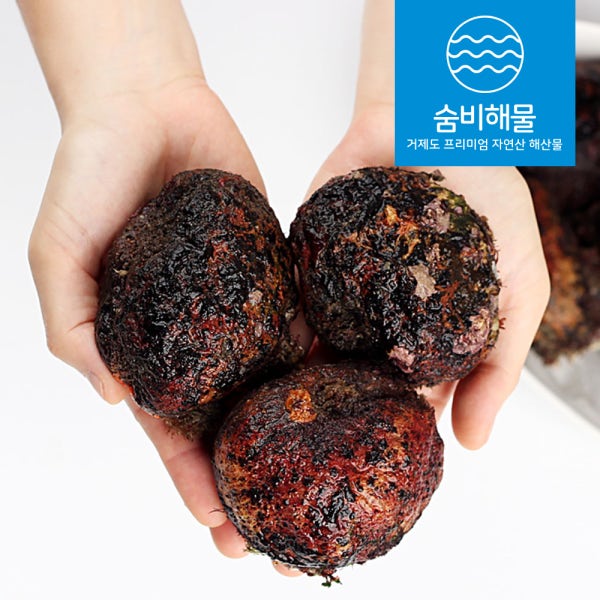 거제도 해녀 자연산 멍게 통영 제철 돌멍게 1kg