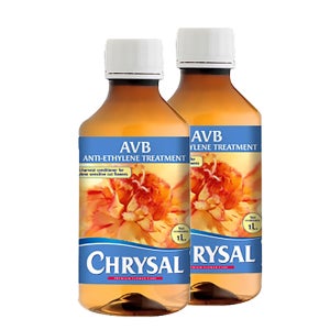 [크리잘] AVB 국화 프리지아 절화수명연장제 1L