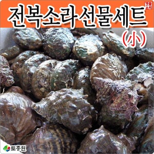 토종원 전복소라 선물세트 (소) 100% 완도산 참전복 소형