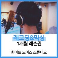 [개인레슨] 레코딩&믹싱 1개월 레슨권(주1회)