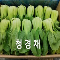 청경채 국내산 청경채 4kg 야채맘