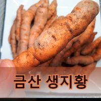 갓 수확한 햇 생지황 금산 지황 600g 1kg 복령 분말