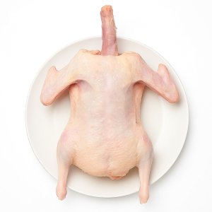 국내산 무항생제 백숙용 생오리 통오리 2.2kg 22호 한방재료