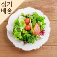 [샐러드스쿨] 다이어트식단 샐러드 배달 야채 믹스 100g 10팩 정기배송