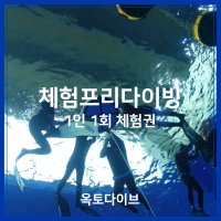 [옥토다이브 수원] 체험 프리다이빙 1인 1회 체험권