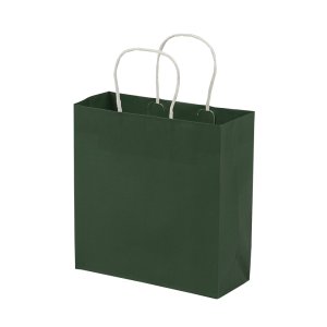 그린 컬러 옵셋쇼핑백 소 (100장) W220 x D90 x H230mm