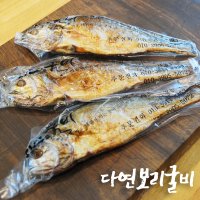 다연 보리굴비 세트 선물용 진공포장 부세 찐보리굴비 내장제거 5마리, 10마리