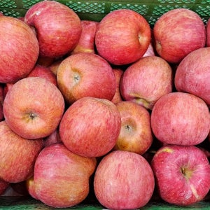 못난이 쥬스용 사과 경북 부사 2kg 3kg 5kg 10kg 가정용 흠집 미색 국내산