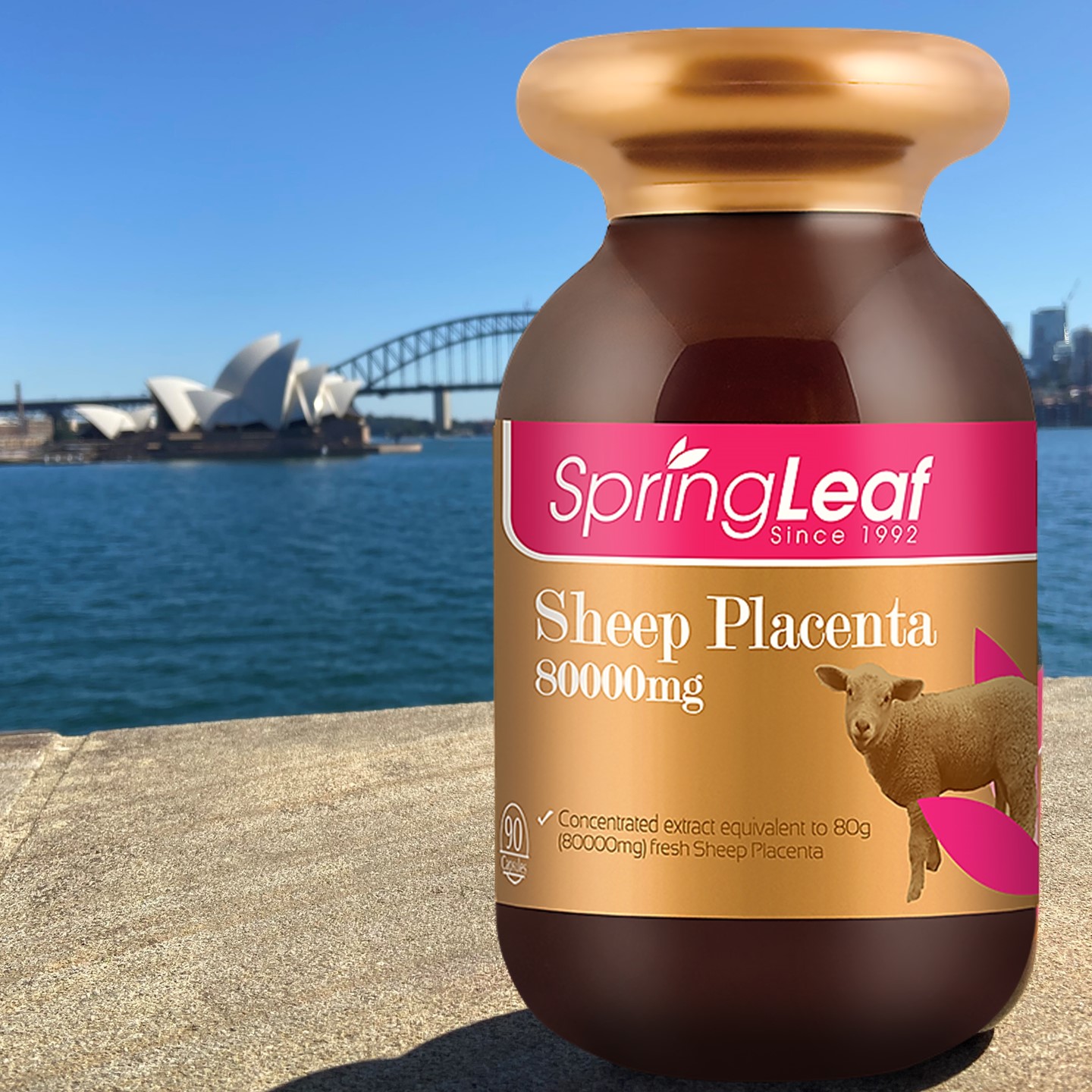 스프링리프 <b>양태반 80000mg</b> 90캡슐 Springleaf Placenta 호주