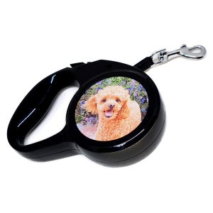 [주문제작] 애견 자동 리드줄 / 양면 인쇄 가능