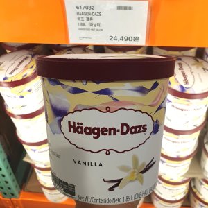 [드라이아이스] 하겐다즈 바닐라 초코 아이스크림 1.89L 코스트코 하프갤런