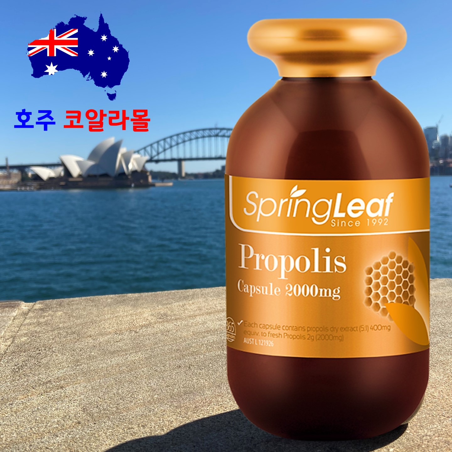 스프링리프 <b>프로폴리스 2000mg</b> 365캡슐 Springleaf Propolis 호주직구