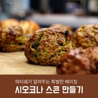 정통 견과류 녹차 초코 시오코나 스콘 3종 강남 원데이 클래스 서울 이색 놀거리