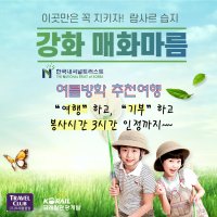 [공정여행] 코레일 강화 매화마름 생태여행 봉사활동 3시간인정 에코투어 정부지원금여행