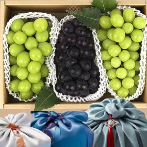 영동 거봉 샤인머스켓 고당도 청포도 망고포도 과일선물세트