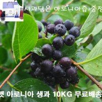 아로니아 2023년 햇 아로니아생과 (아로니아즙 증정)당일수확배송 10kg 생아로니아