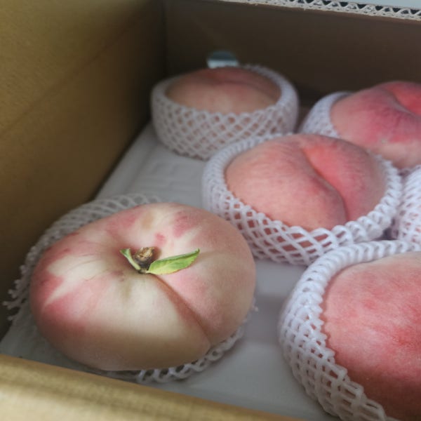 나는 딱복이 더 좋다 오딱복 복숭아 농원 경봉, 천일도, 천하제일도, 유명, 가정용, 선물용,복숭아 3kg