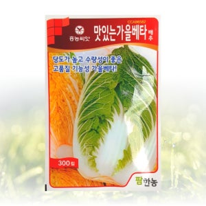 맛있는 가을베타 배추 씨앗 300립/팜한농 씨 종자 모종 항암 개걸무 고추 꽃양배추 초당