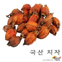 국산 치자 [300g , 600g] [약재파는청년들]