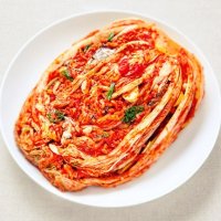 국산 맛있는 배추 무지개 포기김치 10kg