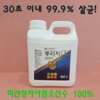 치아염소산수 뿌리는소독약 가정집 집안 아파트 소독 4L