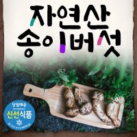 자연산 송이버섯 생송이버섯 백두산 500g 1kg