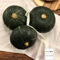 바르다야채 달콤한 국내산 단호박 5kg/3-6수, 10kg/6-12수