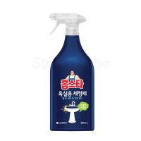 LG생활건강 홈스타 욕실용 세정제 900ml 욕실세제 변기 화장실청소 스프레이 세면대청소