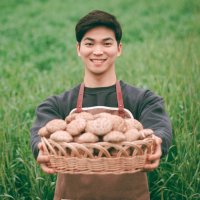 ［서산］하진이네 생표고버섯 500g 1kg 건표고버섯 100g 국산 무농약