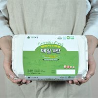 매일농장 친환경 무항생제 당일 생산 매일계란 30구