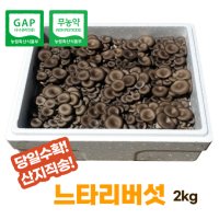 [산지직송]무농약 느타리 2kg 당일수확 대용량 식당