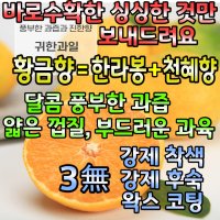 신선한 황금향(한라봉+천혜향)3KG 5KG당도높은 프리미엄로얄과 과일선물세트 제주도서귀포