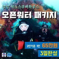 [2인이상] 양양 스킨스쿠버 스쿠버다이빙 오픈워터 자격증 패키지 - 사진촬영 포함