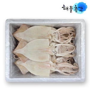 해물총각 통 손질오징어 냉동 오징어 4kg 약23마리