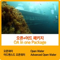 [마이다이버스] PADI 오픈워터(OW) + 어드밴스드 오픈워터(AOW) 다이버 패키지 과정