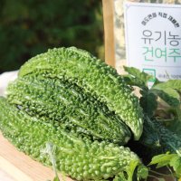 국내산 여주 말린것 유기농 건여주 1kg