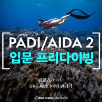 서울 경기 입문 프리다이버 교육 프리다이빙 자격증 강습