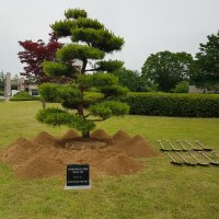 기념식수 시공대행 소나무농원 자체시공