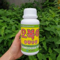 유황규산 오복이 500ml 규산황