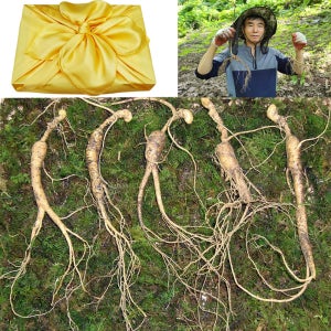 천봉산삼 10년근 5뿌리 산양삼 산양산삼 장뇌삼 자연산 설 추석 선물세트