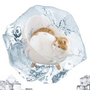 캣츠룸 강아지 고양이 반려동물 친환경 포시즌 체어 그네 해먹 하우스