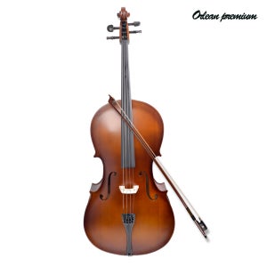 대여 렌탈 30일 첼로 대여 무보증금 CELLO 연습용 입문용 레슨용