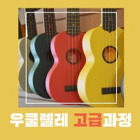 우쿨렐레 고급과정 그룹 주 1회 60분