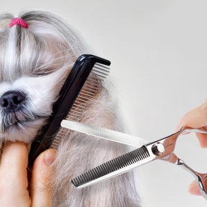 바비온 강아지 애견 미용가위 EL 15cm(6인치) 틴닝(숱)가위 E2-6040T