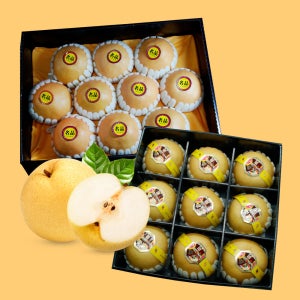 당해수확 가정용 선물용 신고배 나주배 달콤 큼직 햇 배