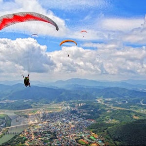 [강원 영월]패러글라이딩