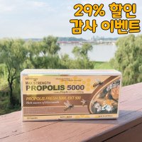 호주 프로폴리스 5000 네이쳐스그린웨이 호주산 고함량 120캡슐