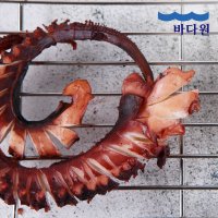 [바다원] 오징어 통족 400g 오징어다리 망족 구이족