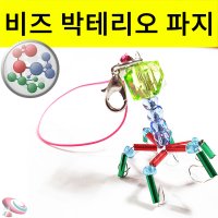 박테리오파지만들기 비즈 모형고리 10인용 - 과학교구몰